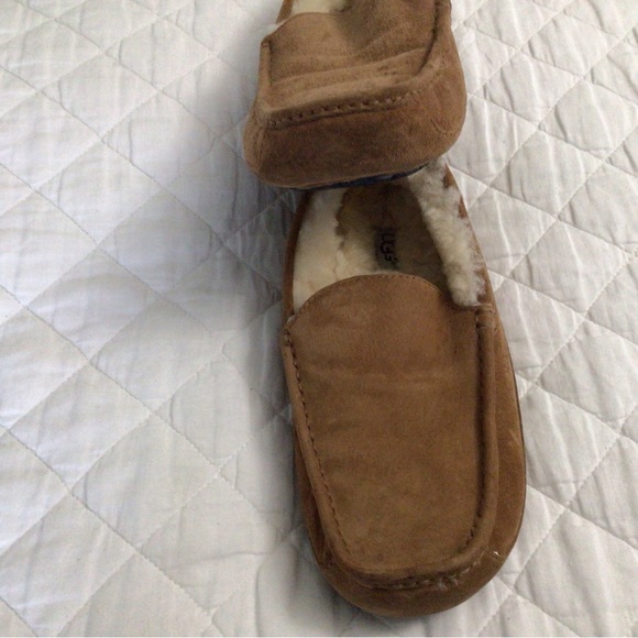 Ugg Men's Ascot Slippers Suede- Chestnut - Picture 4 of 6